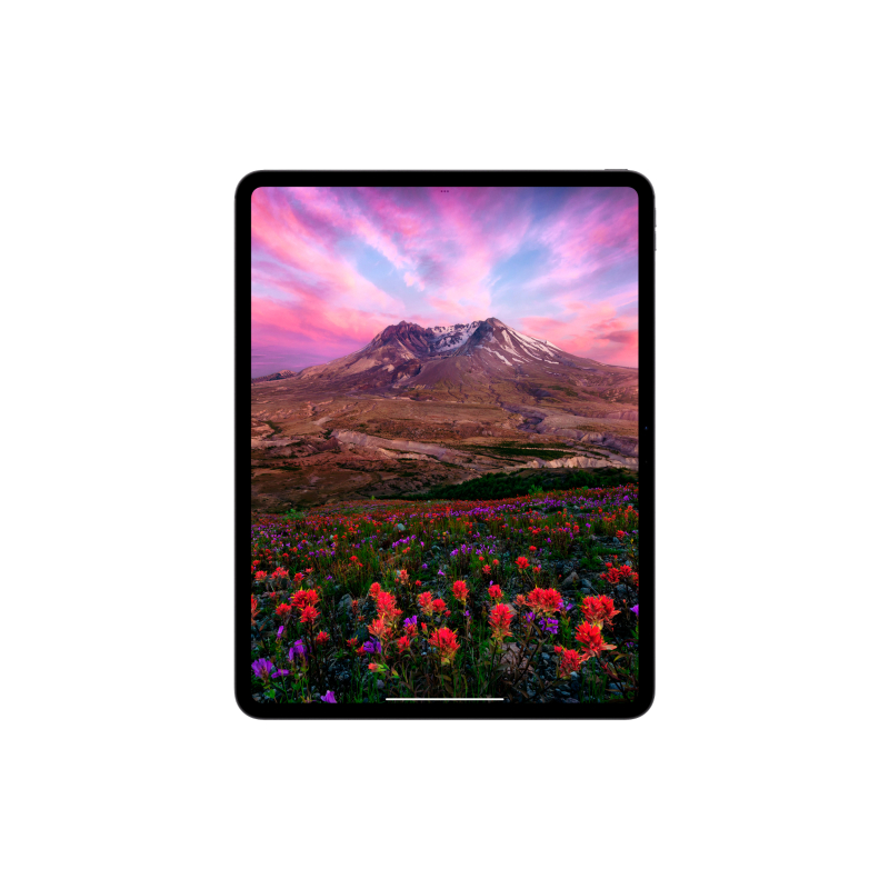 Apple iPad Pro M4 (2024) 11" дюймов, wi-fi, 256 Гб, Чёрный космос (Без RuStore)