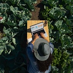 Apple MacBook Pro 14" (M4, 2024), 24 ГБ/1 Тб, Серебро