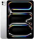 Apple iPad Pro M5 (2025) 13" дюймов, wi-fi+cellular, 512 Гб, Серебро (Без RuStore)