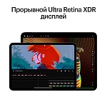 Apple iPad Pro M4 (2024) 11" дюймов, wi-fi, 256 Гб, Чёрный космос (Без RuStore)