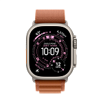 Apple Watch Ultra 3, 49 мм, корпус из титана цвета Серый (Natural Titanium), ремешок Alpine, цвет терракотовый, S
