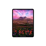 Apple iPad Pro M4 (2024) 11" дюймов, wi-fi, 256 Гб, Чёрный космос (Без RuStore)