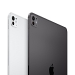 Apple iPad Pro M4 (2024) 11" дюймов, wi-fi, 256 Гб, Чёрный космос (Без RuStore)