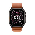 Apple Watch Ultra 3, 49 мм, корпус из титана цвета Чёрный (Black Titanium), ремешок Alpine, цвет терракотовый, L