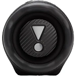 Колонка портативная JBL Charge 6, Black