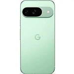 Смартфон Google Pixel 9 12/256 ГБ, Wintergreen